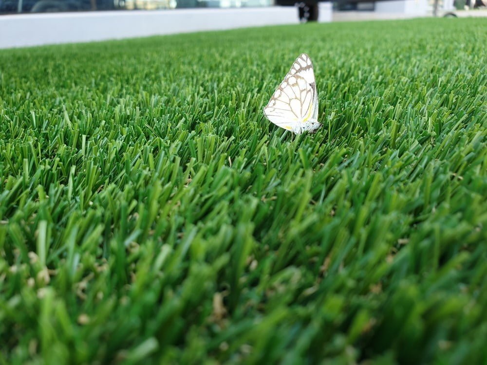 25mm Artificial Grass