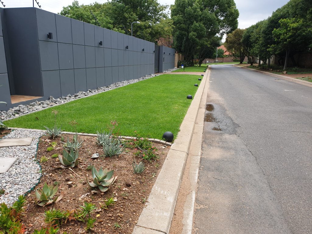 Established Organic Grass