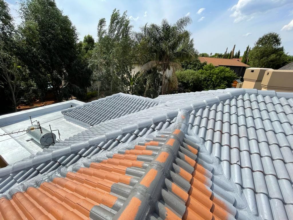 Roof Painting