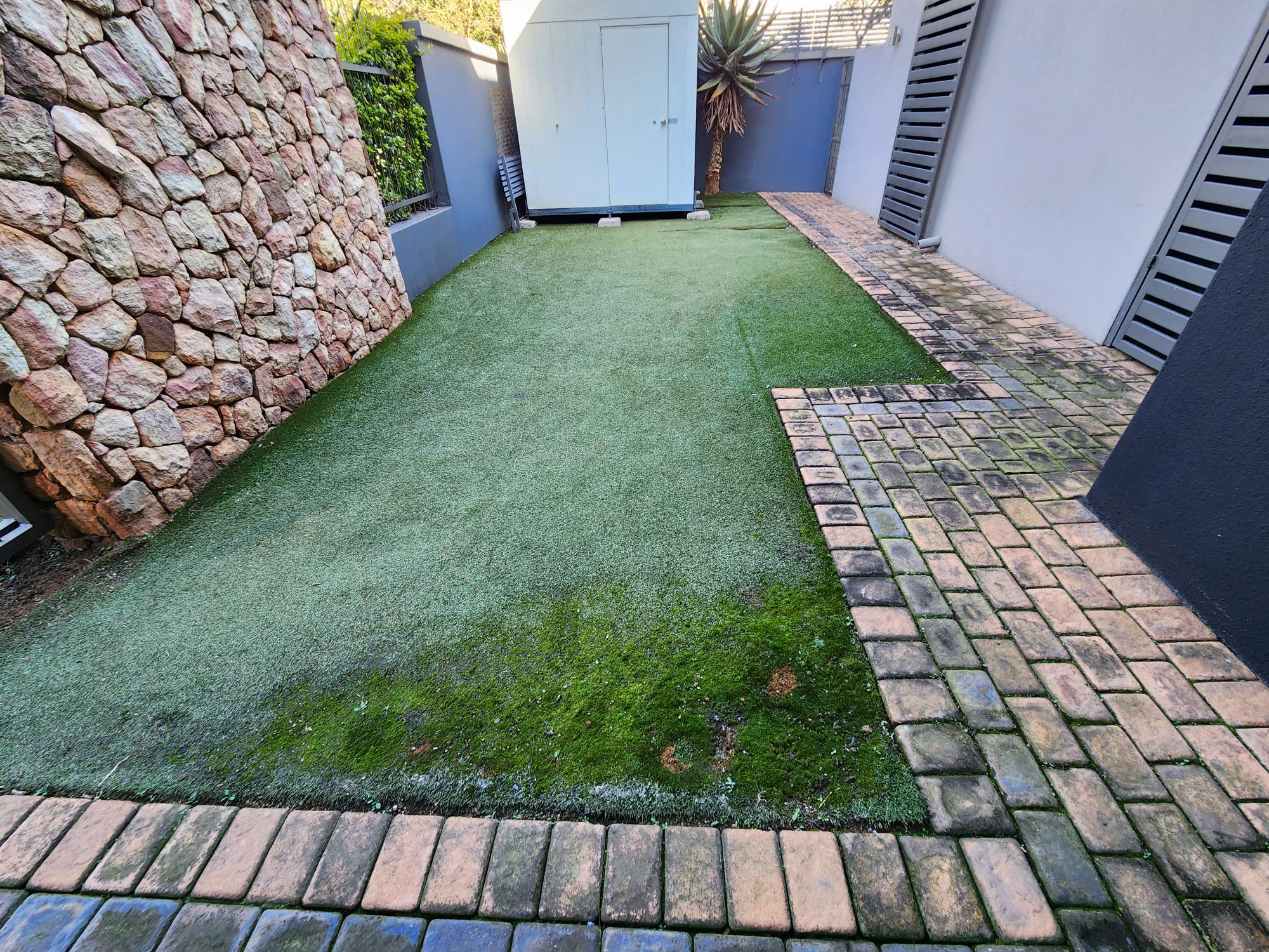 putting-green-before