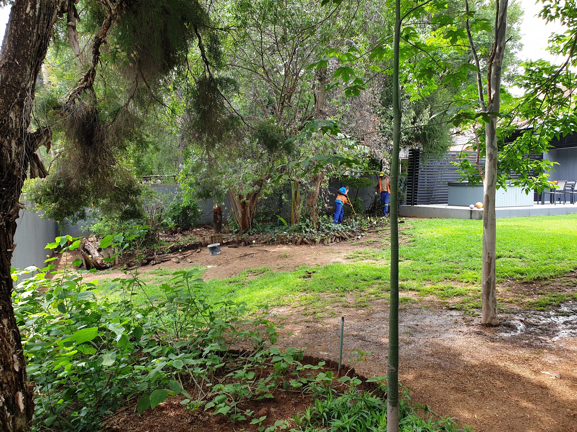 organic-grass-installation