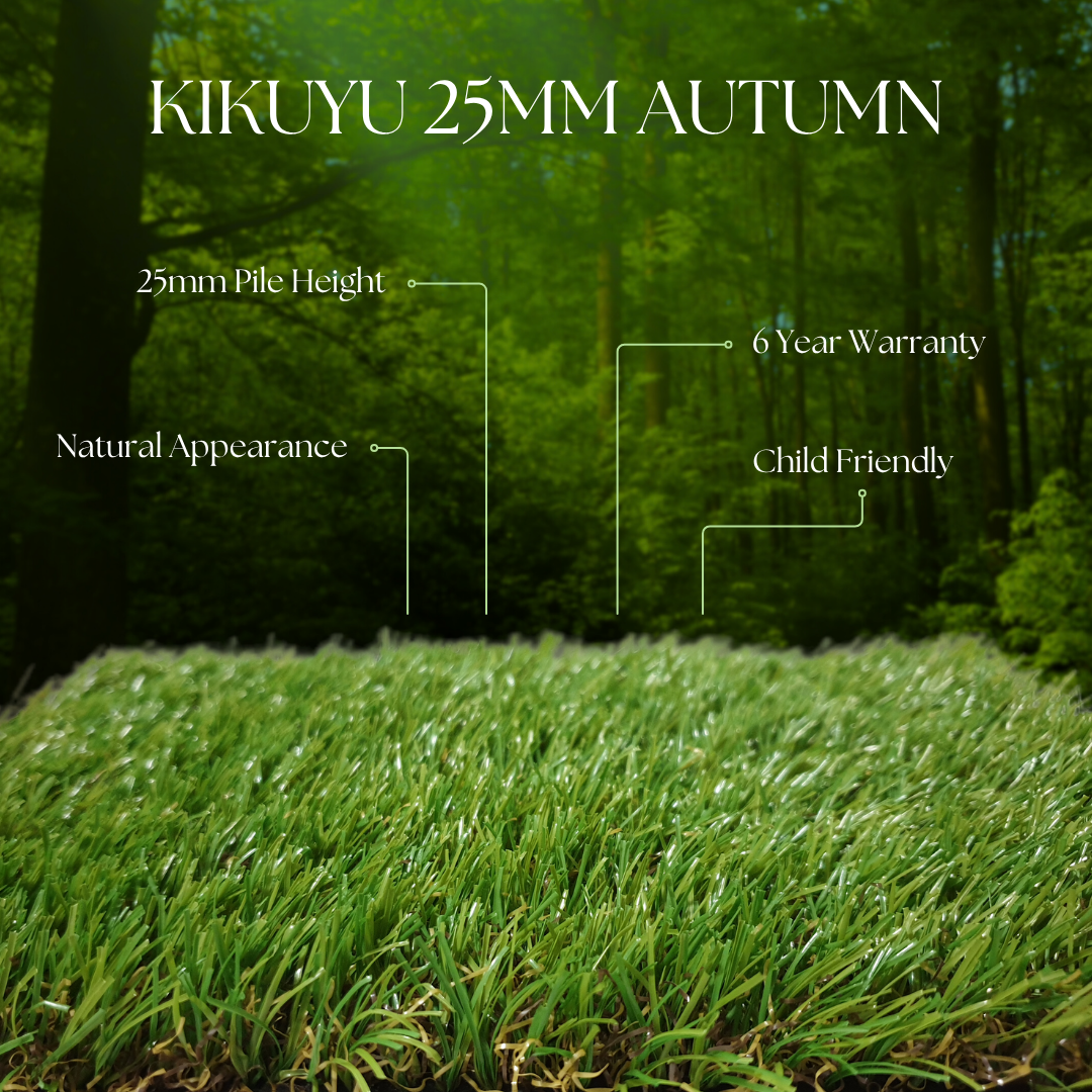 25mm-autumn
