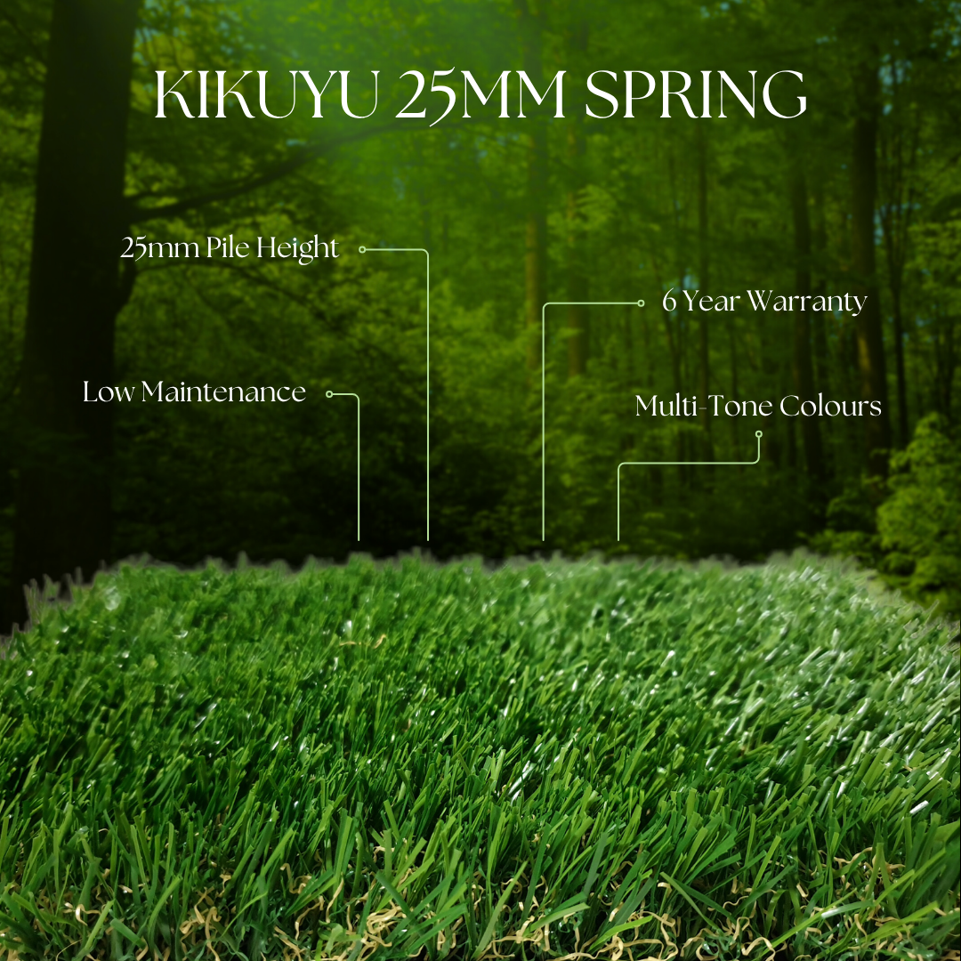 25mm-spring
