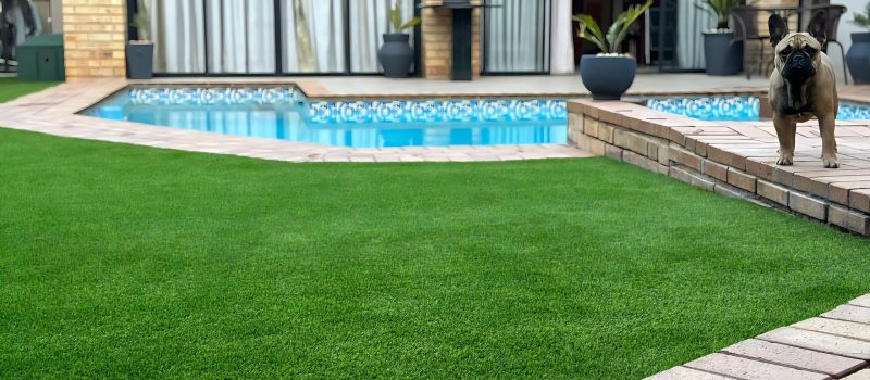dog-friendly-artificial-grass