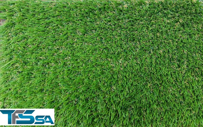 30mm-pet-grass-kikuyu