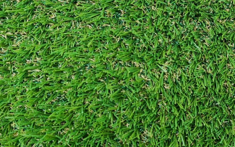 30mm-pet-grass-kikuyu